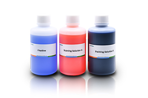 Sperm Staining Solution (Diff-Quik Method)