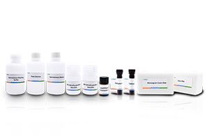 Sperm Acrosome Reaction Detection Kit (Calcium Ion Carrier Induced Fluorescence Staining Method)
