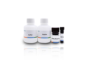 Sperm Nuclear Staining Solution (Acridine Orange Method)
