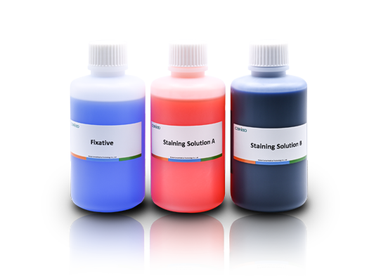 Sperm Staining Solution (Diff-Quik Method)