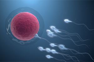 Tips to Increase Sperm Count