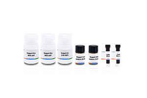 Seminal Plasma Zinc Detection Kit (Endpoint Method)