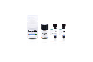 Seminal Plasma Fructose Detection Kit (Endpoint Method)