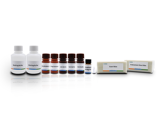 Sperm DNA Fragment Detection Kit (Sperm Chromatin Diffusion Method)